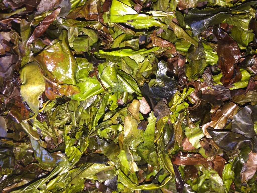 Wild Irish Sea Veg Dillisk Dulse Crisps Recipe Organic Irish Seaweed
