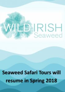Seaweed Safari Tour
